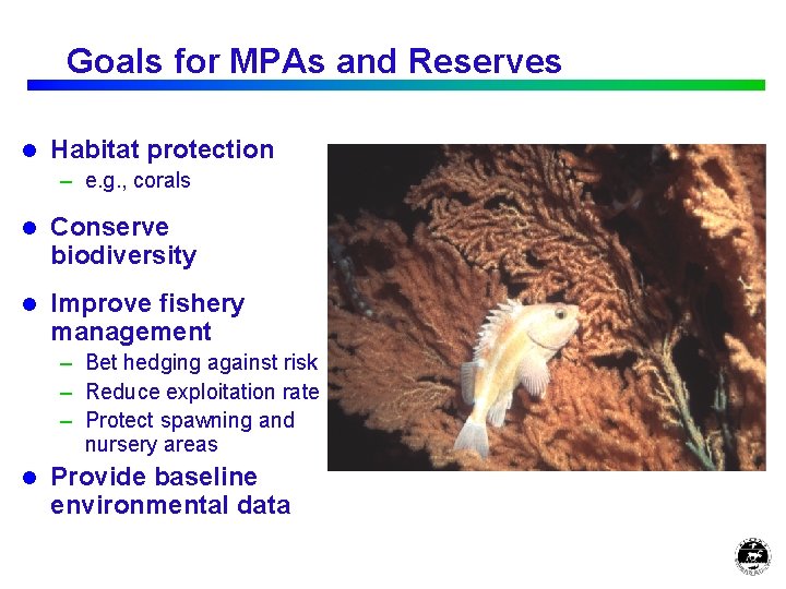 Goals for MPAs and Reserves l Habitat protection – e. g. , corals l