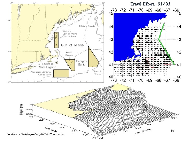 Trawl Effort, ’ 91 -’ 93 Courtesy of Paul Rago et al. , NMFS,