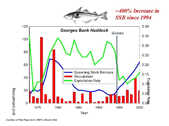 ~400% Increase in SSB since 1994 closure Courtesy of Paul Rago et al. ,