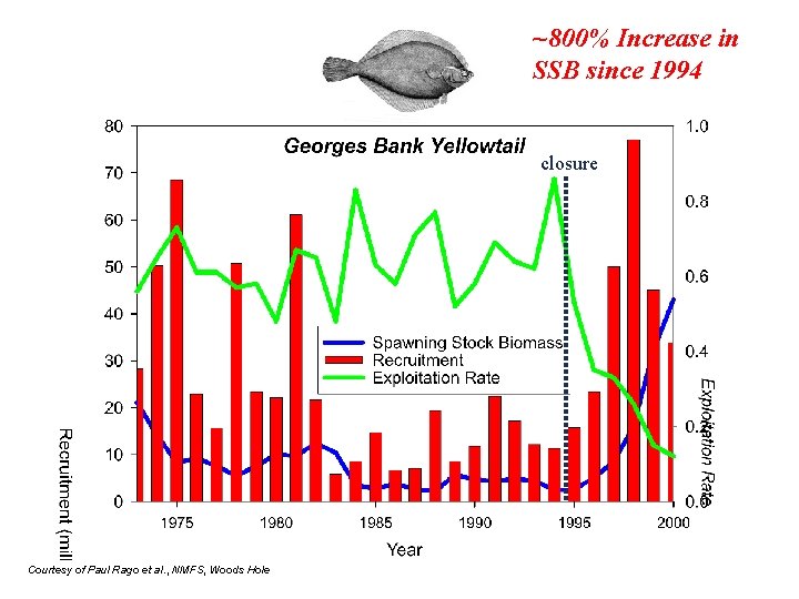~800% Increase in SSB since 1994 closure Courtesy of Paul Rago et al. ,