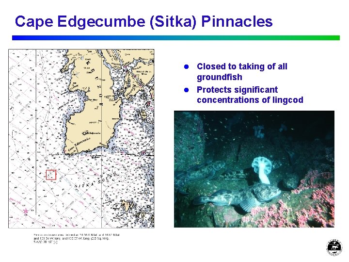 Cape Edgecumbe (Sitka) Pinnacles Closed to taking of all groundfish l Protects significant concentrations