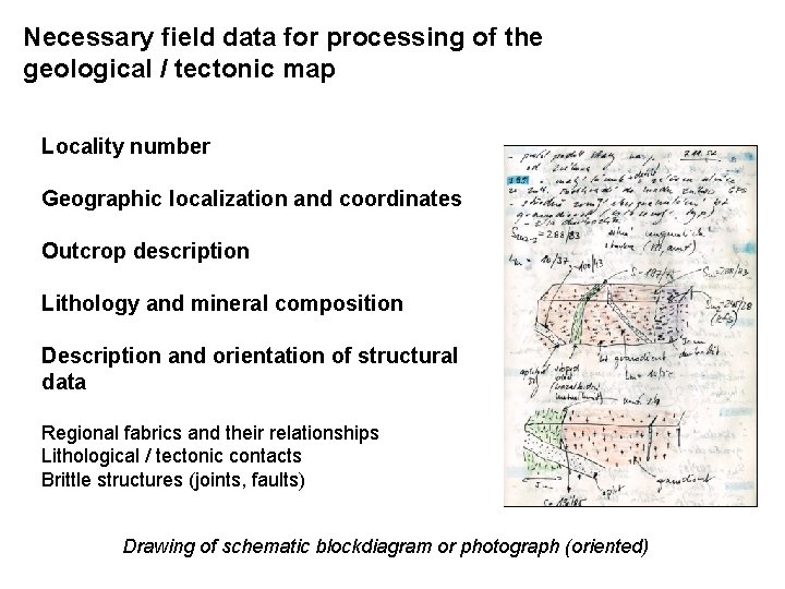 Necessary field data for processing of the geological / tectonic map Locality number Geographic