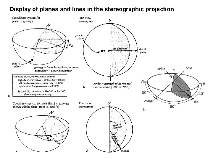 Display of planes and lines in the stereographic projection 