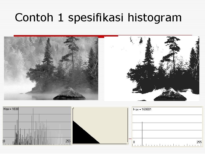 Contoh 1 spesifikasi histogram 