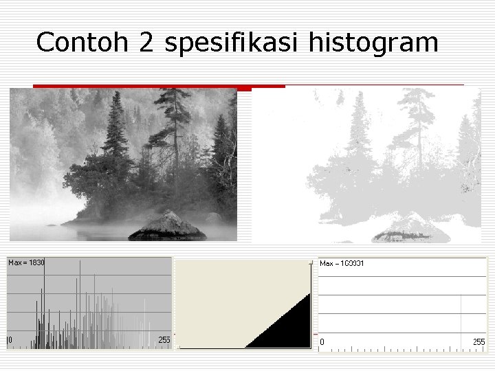 Contoh 2 spesifikasi histogram 