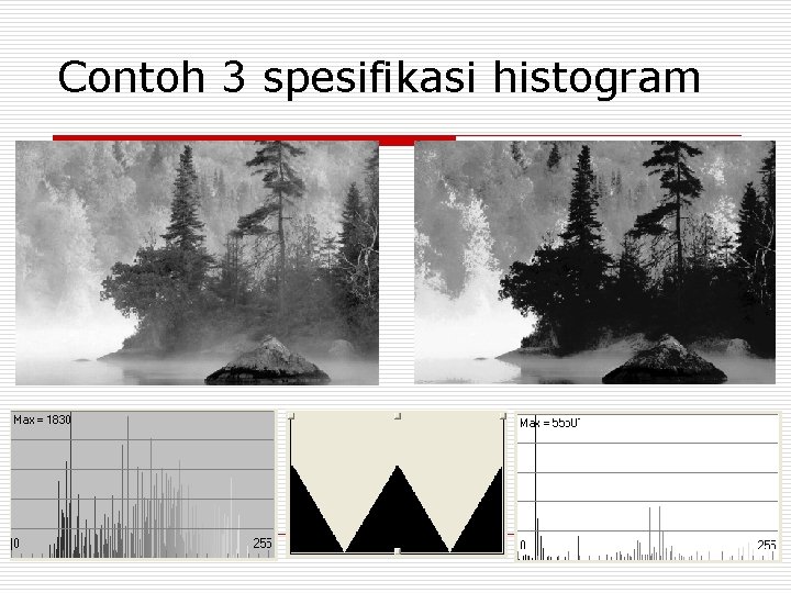 Contoh 3 spesifikasi histogram 