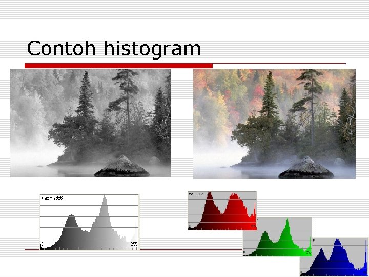 Contoh histogram 