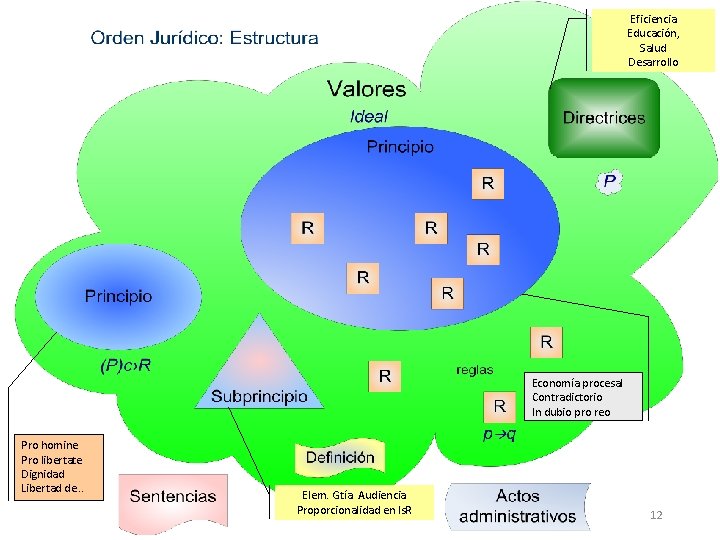 Eficiencia Educación, Salud Desarrollo Economía procesal Contradictorio In dubio pro reo Pro homine Pro