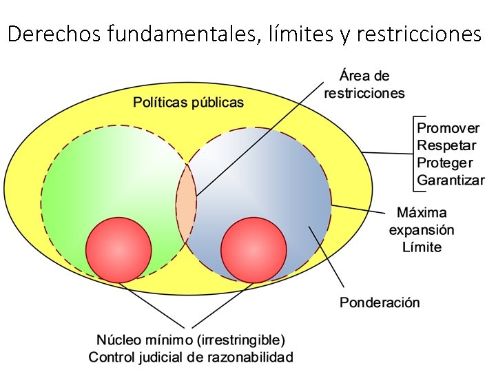 Derechos fundamentales, límites y restricciones 