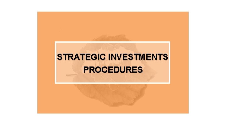 STRATEGIC INVESTMENTS PROCEDURES 