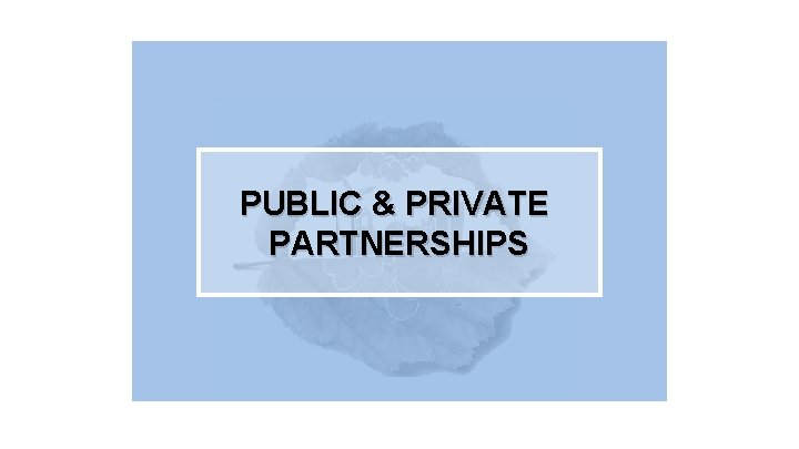 PUBLIC & PRIVATE PARTNERSHIPS 