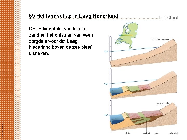 § 9 Het landschap in Laag Nederland De sedimentatie van klei en zand en