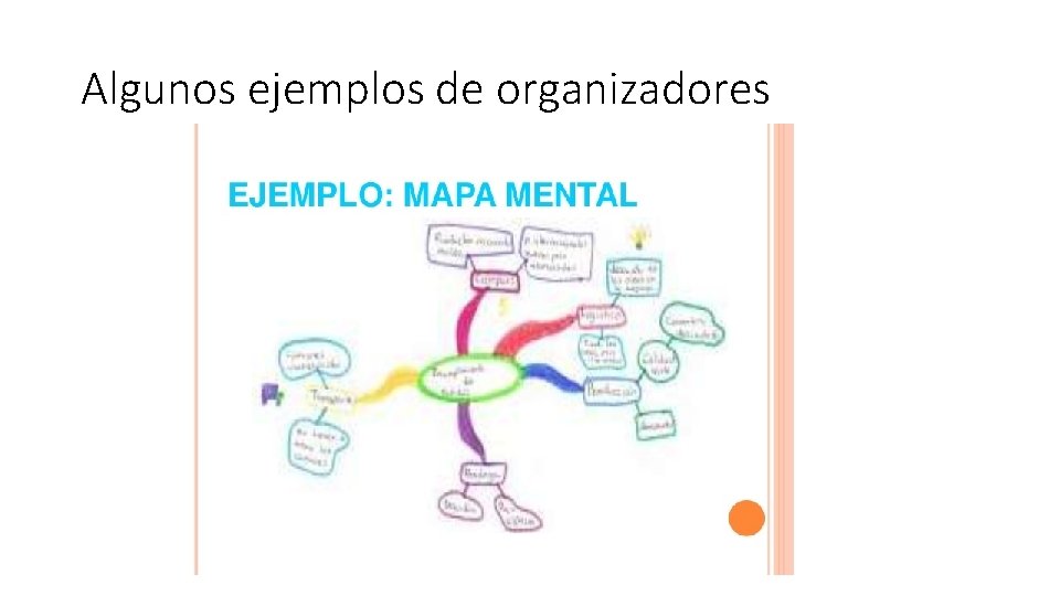 Algunos ejemplos de organizadores 