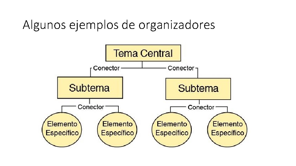 Algunos ejemplos de organizadores 