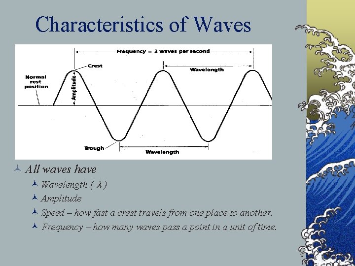 Characteristics of Waves © All waves have © Wavelength ( l ) © Amplitude