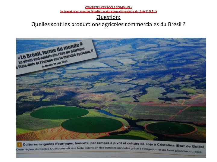 COMPETENCES SOCLE COMMUN : Je travaille en groupe (étudier la situation alimentaire du Brésil)