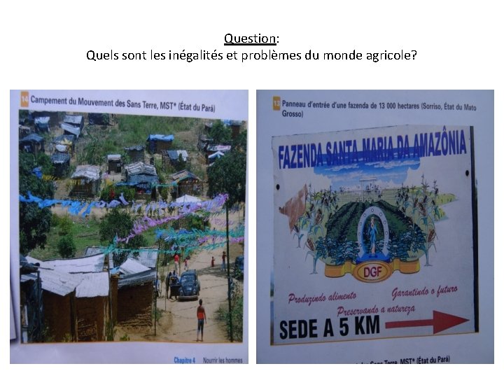 Question: Quels sont les inégalités et problèmes du monde agricole? 