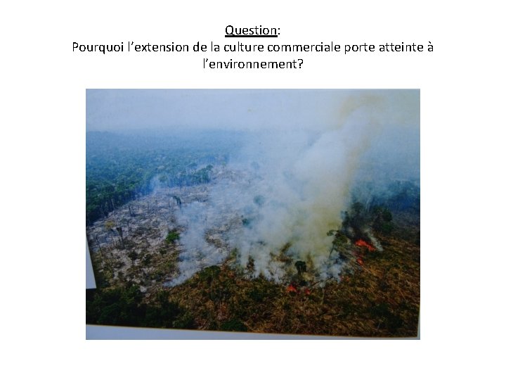 Question: Pourquoi l’extension de la culture commerciale porte atteinte à l’environnement? 