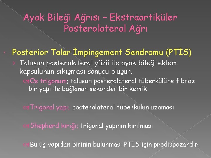 Ayak Bileği Ağrısı – Ekstraartiküler Posterolateral Ağrı Posterior Talar İmpingement Sendromu (PTİS) › Talusun