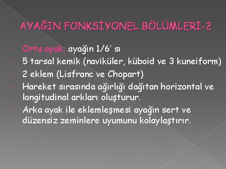 AYAĞIN FONKSİYONEL BÖLÜMLERİ-2 Orta ayak; ayağın 1/6’ sı 5 tarsal kemik (naviküler, küboid ve