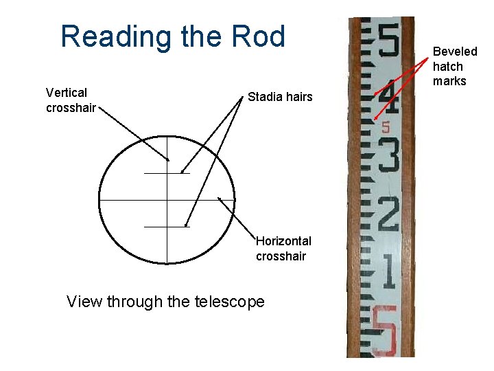 Reading the Rod Vertical crosshair Stadia hairs Horizontal crosshair View through the telescope Beveled