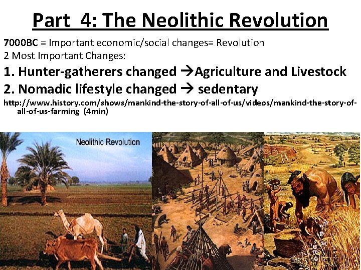 Part 4: The Neolithic Revolution 7000 BC = Important economic/social changes= Revolution 2 Most