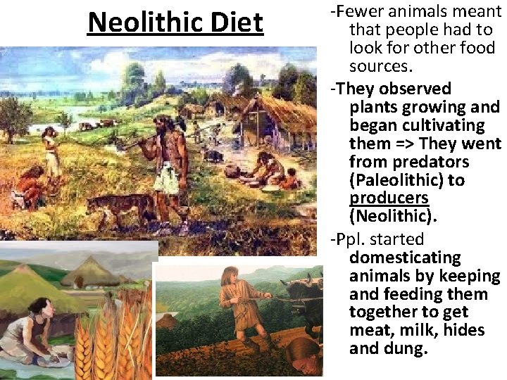 Neolithic Diet -Fewer animals meant that people had to look for other food sources.