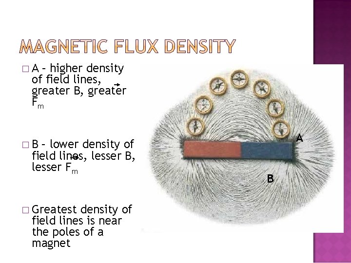 �A – higher density of field lines, greater B, greater Fm – lower density