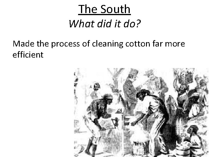 The South What did it do? Made the process of cleaning cotton far more