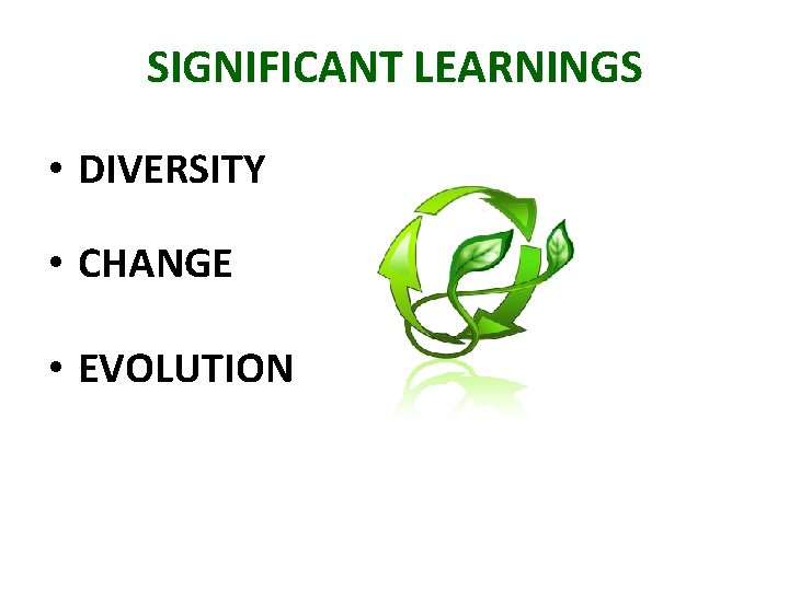 SIGNIFICANT LEARNINGS • DIVERSITY • CHANGE • EVOLUTION 