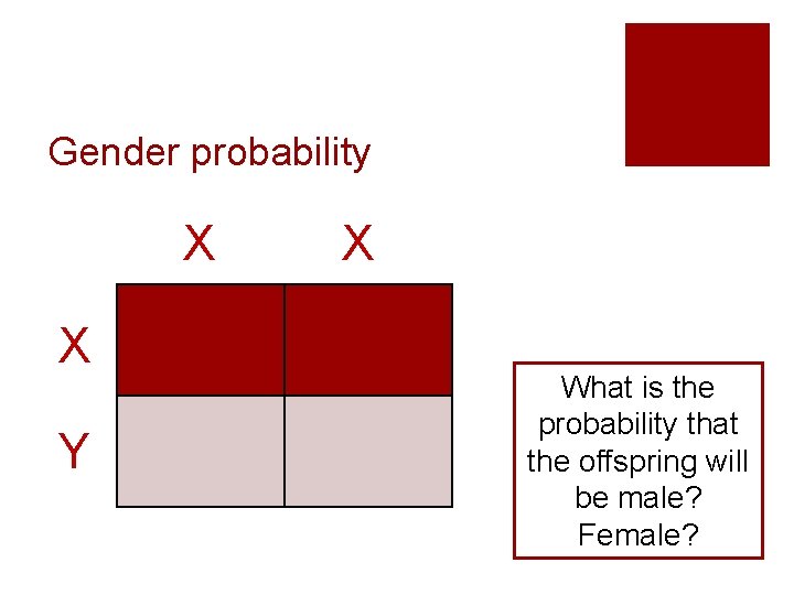 Gender probability X X Y X What is the probability that the offspring will