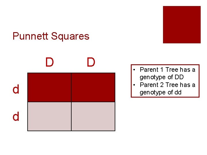 Punnett Squares D d d D • Parent 1 Tree has a genotype of