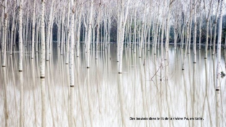 Des boulots dans le lit de la rivière Po, en Italie. 