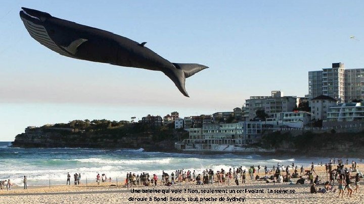 Une baleine qui vole ? Non, seulement un cerf-volant. La scène se déroule à