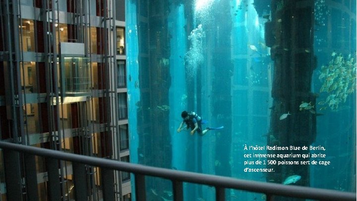À l’hôtel Radisson Blue de Berlin, cet immense aquarium qui abrite plus de 1