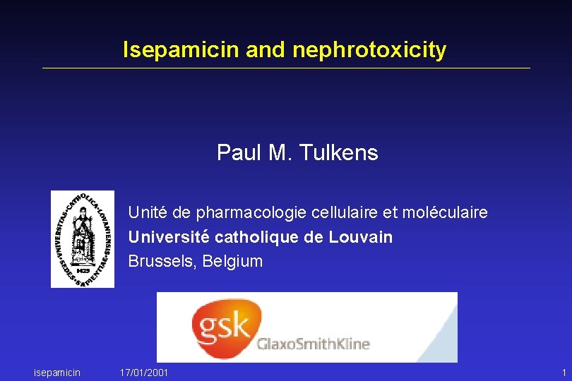 Isepamicin and nephrotoxicity Paul M. Tulkens Unité de pharmacologie cellulaire et moléculaire Université catholique
