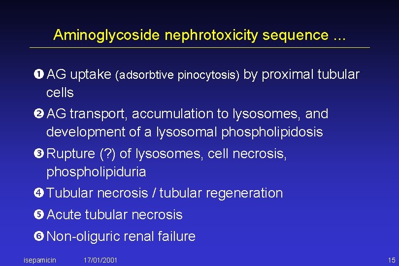 Aminoglycoside nephrotoxicity sequence. . . AG uptake (adsorbtive pinocytosis) by proximal tubular cells AG