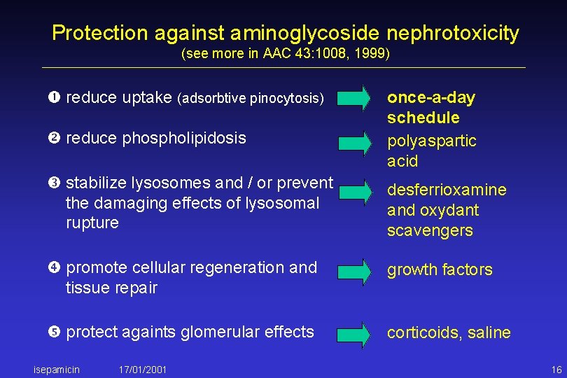 Protection against aminoglycoside nephrotoxicity (see more in AAC 43: 1008, 1999) reduce uptake (adsorbtive