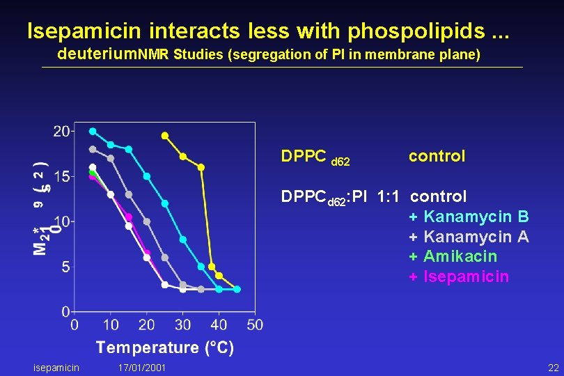 Isepamicin interacts less with phospolipids. . . deuterium. NMR Studies (segregation of PI in