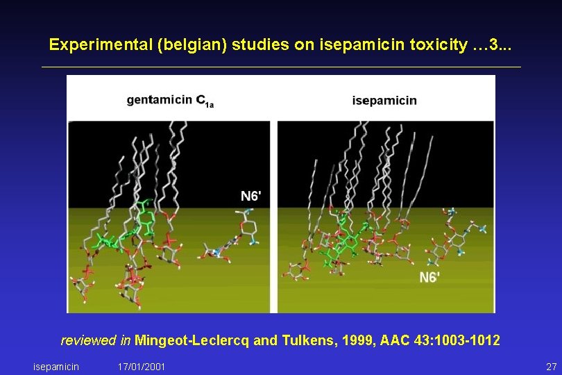 Experimental (belgian) studies on isepamicin toxicity … 3. . . reviewed in Mingeot-Leclercq and