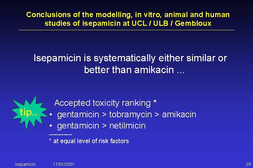 Conclusions of the modelling, in vitro, animal and human studies of isepamicin at UCL