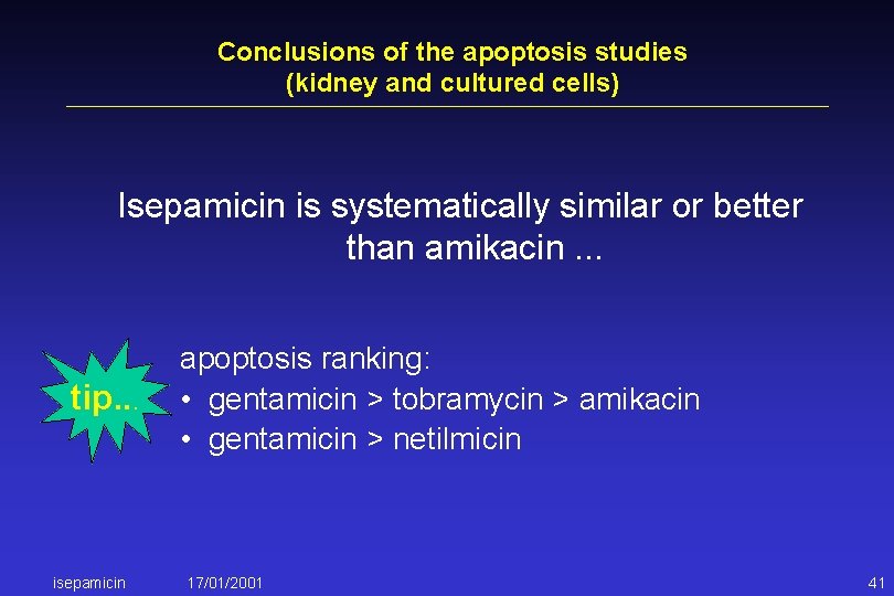 Conclusions of the apoptosis studies (kidney and cultured cells) Isepamicin is systematically similar or