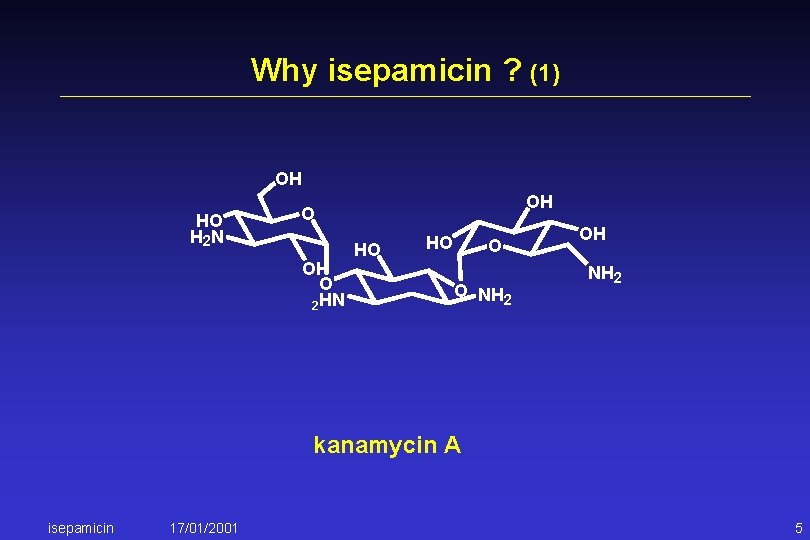 Why isepamicin ? (1) OH HO H 2 N OH O 2 HN HO