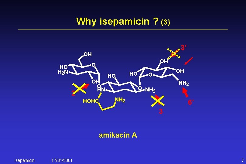 Why isepamicin ? (3) 3’ OH OH O HO H 2 N 2” OH