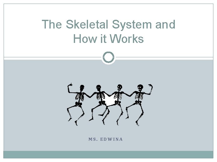 The Skeletal System and How it Works MS. EDWINA 