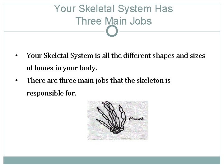 Your Skeletal System Has Three Main Jobs • Your Skeletal System is all the