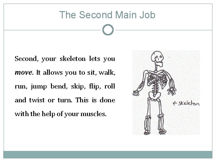 The Second Main Job Second, your skeleton lets you move. It allows you to
