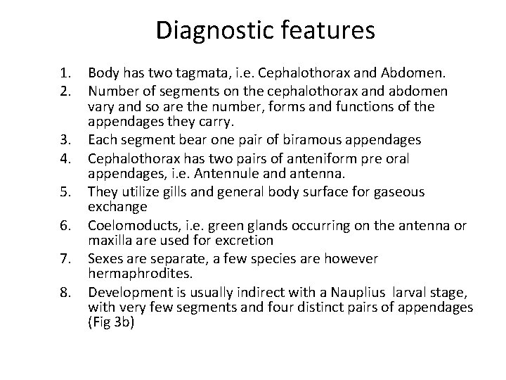 Diagnostic features 1. 2. 3. 4. 5. 6. 7. 8. Body has two tagmata,