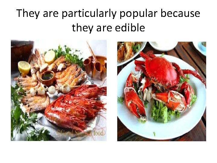 They are particularly popular because they are edible 