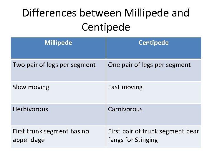 Differences between Millipede and Centipede Millipede Centipede Two pair of legs per segment One